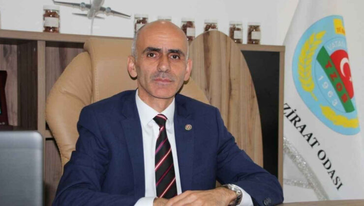 “Babanın Malı mı?” Tepkisi Giresun’da Gündem Oldu