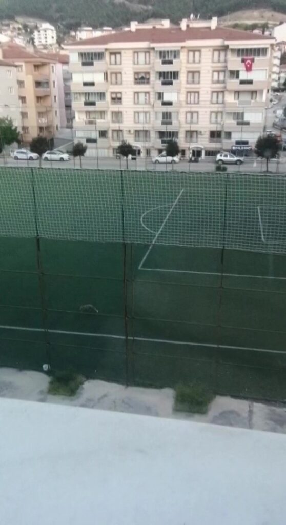 Futbol sahasında tilki