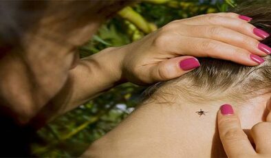 Keneye Karşı Uyarı: Uzmanlardan KKKA Hastalığı ve Aşı Çalışmaları