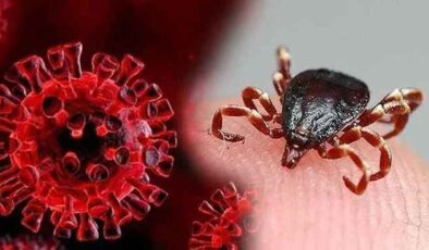 Kene Alarmı! KKKA Vakaları Artıyor