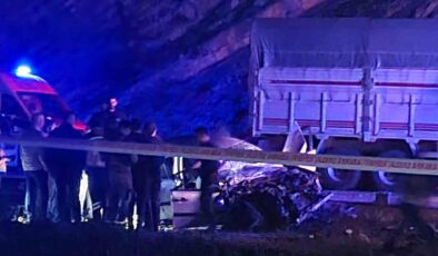 Nallıhan’da Otomobil ve Kamyon Çarpıştı