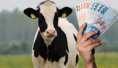 Giresun’da En Fazla Hak Sahibi Bu İlçeden