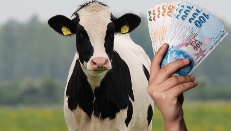 Giresun’da En Fazla Hak Sahibi Bu İlçeden