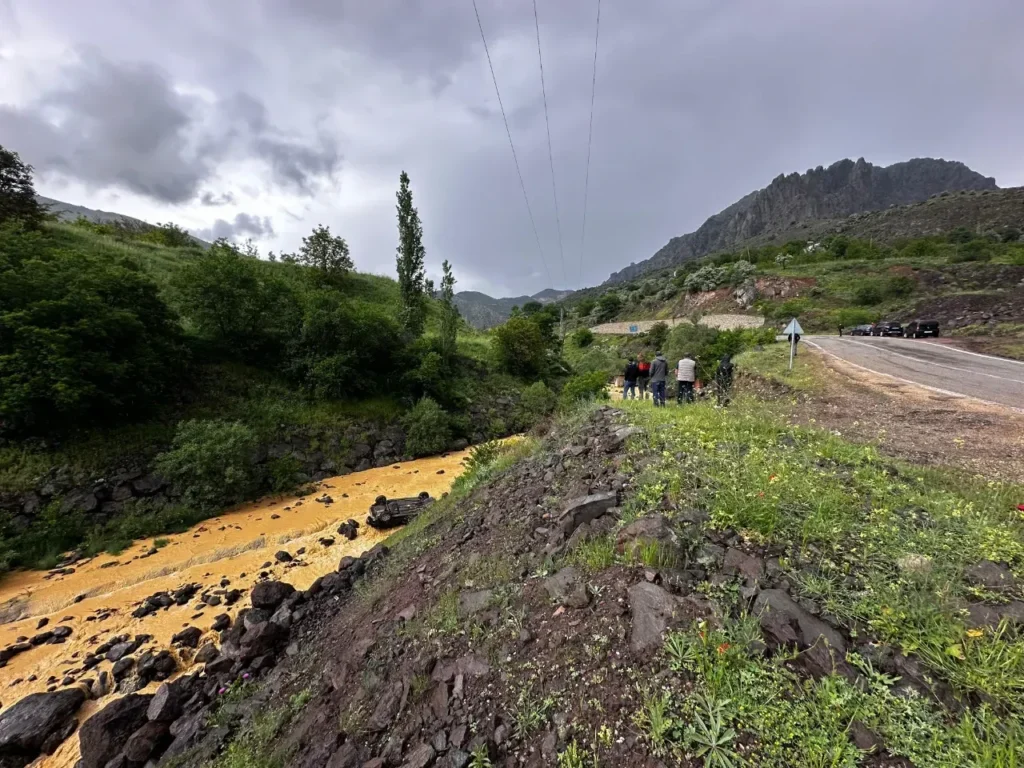 Şebinkarahisar kaza1