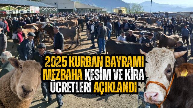 Şebinkarahisar’da 2025 Kurban Bayramı Kesim ve Padok Ücretleri Açıklandı