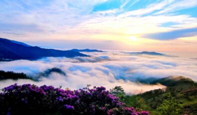 Sis Dağı Yaylası Baharda Görsel Şölene Dönüştü