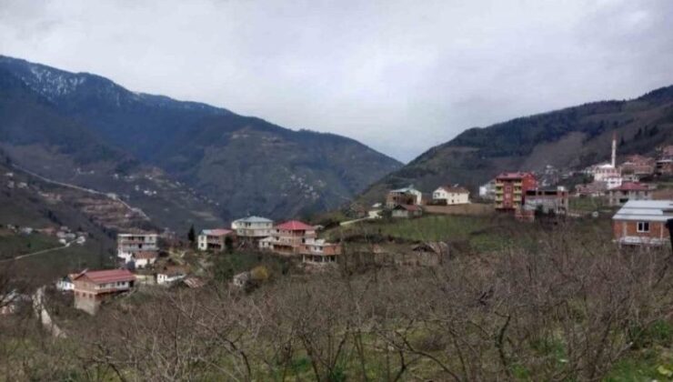 Üçtaş Köyü Artık Giresun’a Bağlı: Sınır Resmen Değişti