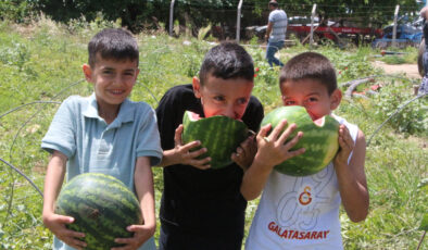 Adana’da Erkenci Karpuz Hasadı Başladı