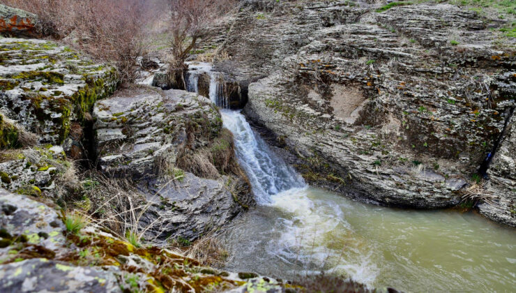 Doğaseverlerin Yeni Gözdesi Oldu