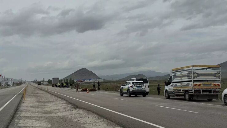 Ağrı’da Boks Şampiyonası Başladı