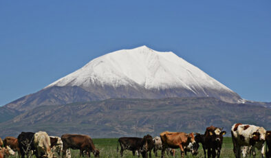 Ağrı’da Mayıs Ortasında Kösedağ Zirvesi Karla Kaplandı
