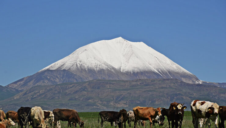 Ağrı’da Mayıs Ortasında Kösedağ Zirvesi Karla Kaplandı
