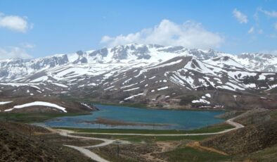 Ne Kar Kaldı Ne Çiçek!