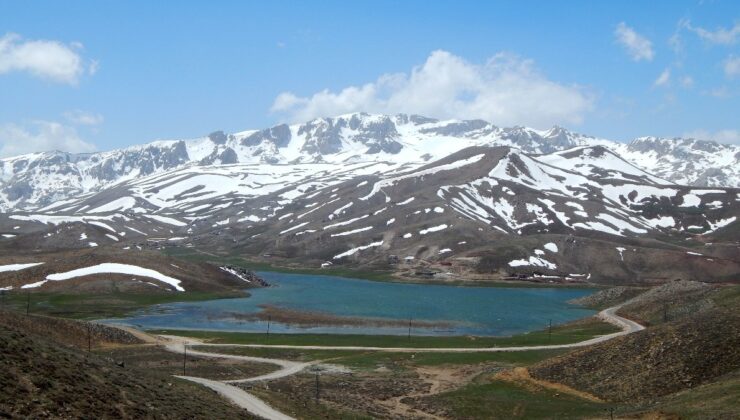 Ne Kar Kaldı Ne Çiçek!