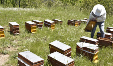 Bitlis balı Fransa’da ‘Altın Bal’ ödülü aldı