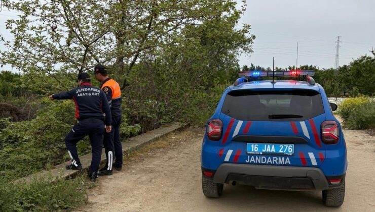İznik Gölü’nde Kaçak Avcılığa Geçit Yok