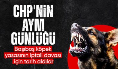 Sokak Köpekleri Yasası AYM Gündeminde