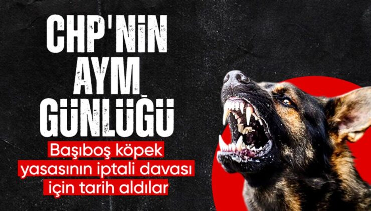 Sokak Köpekleri Yasası AYM Gündeminde