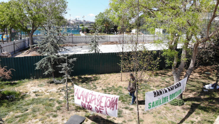 Kadıköy’de Doğa Katliamı Mahalleliyi Ayaklandırdı