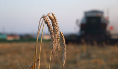 Toyota, ABD Pazarına Elektrikli Yeni C-HR Modelini Tanıttı