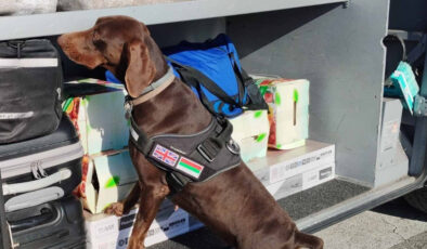 Edirne’de sınırda beyan edilmemiş 351 bin euro yakalandı