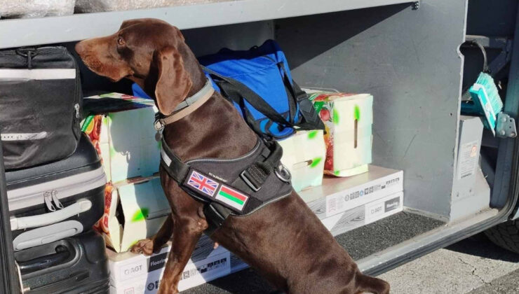 Edirne’de sınırda beyan edilmemiş 351 bin euro yakalandı