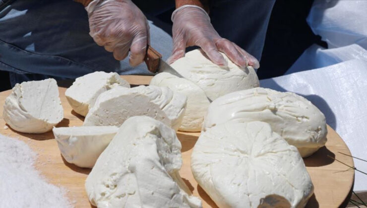 Erzincan tulum peyniri AB’den coğrafi işaret tescili aldı