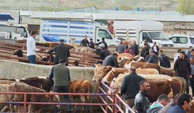Erzurum’da Kurbanlık Fiyatları El Yakıyor