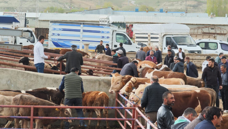 Erzurum’da Kurbanlık Fiyatları El Yakıyor