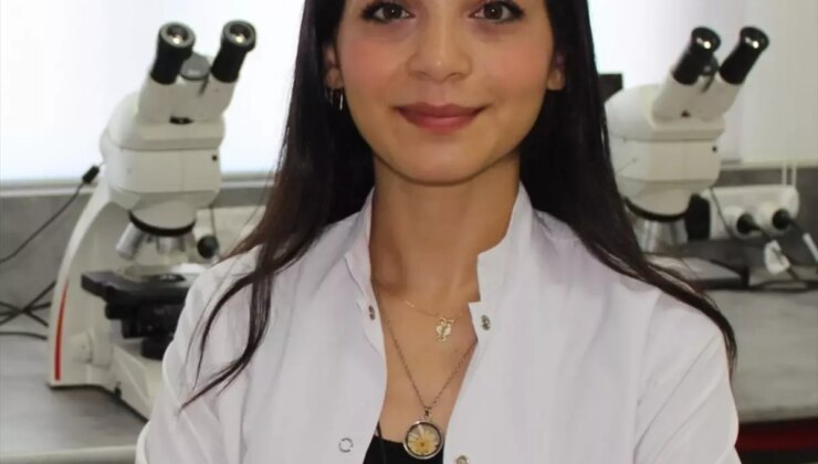 Evde Tavuk Pişirirken Dikkat Edilmesi Gerekenler