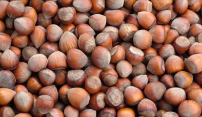 Fındık İhracatında 852 Milyon Dolarlık Gelir