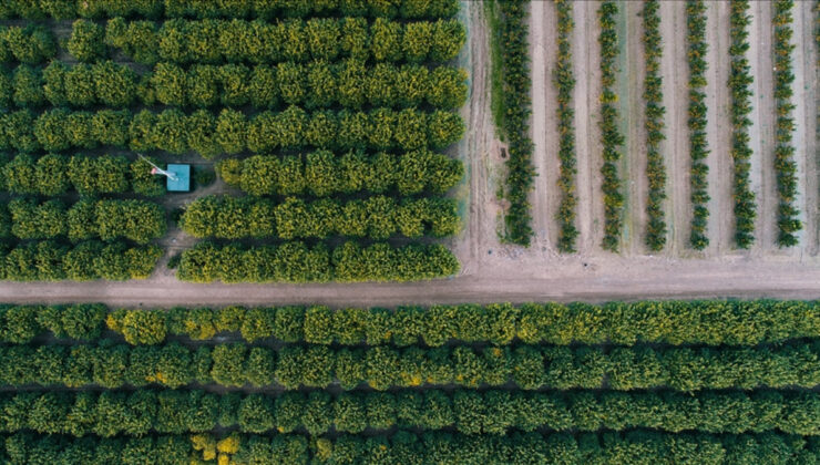 Gıda güvenliği için kırsal dönüşüm şart