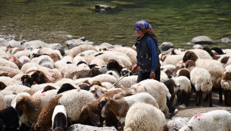 Göç Yolu Hayallerle Dolu