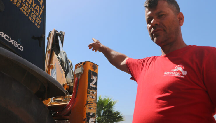 Hatay’da kumru yuvası için binlerce liralık kaybı göze aldı