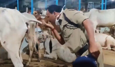 Hint pilot, uçuş öncesi inek idrarı ile kendisini kutsadı