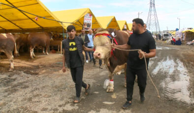 1,5 Tonluk Dev Boğa ‘Poyraz’ Satıştan Çekildi