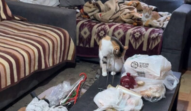 İstanbul Avcılar’da Çöp Evden Kaynaklanan Kötü Koku