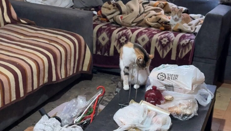 İstanbul Avcılar’da Çöp Evden Kaynaklanan Kötü Koku