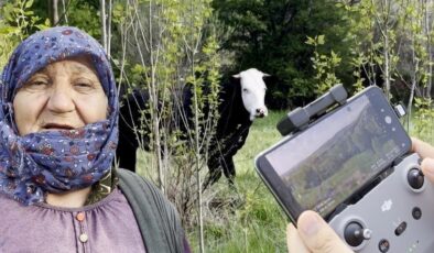 Kezban ninenin yardımına koştular! Kaçak düve dron ile bulundu
