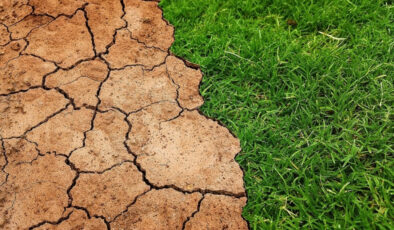 Küresel iklim tahminleri, 5 yılda sıcaklıkların rekor seviyelere ulaşacağını öngörüyor