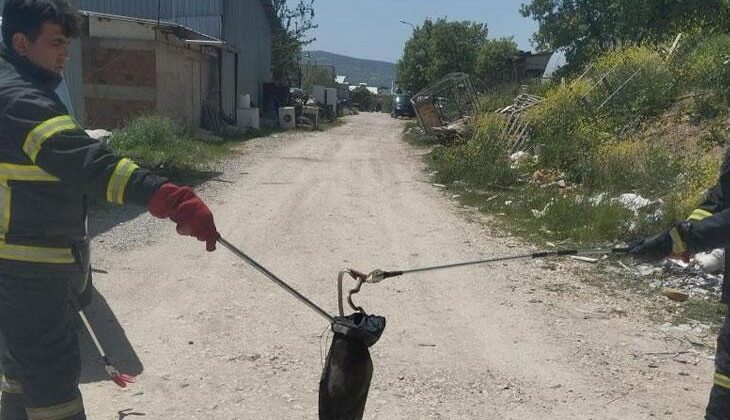 Gediz’de İki Ayrı Yılan Vakası: İtfaiyeden Bahar Uyarısı