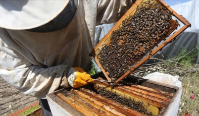 Manisa’da maden sahasında bal üretimi başlıyor
