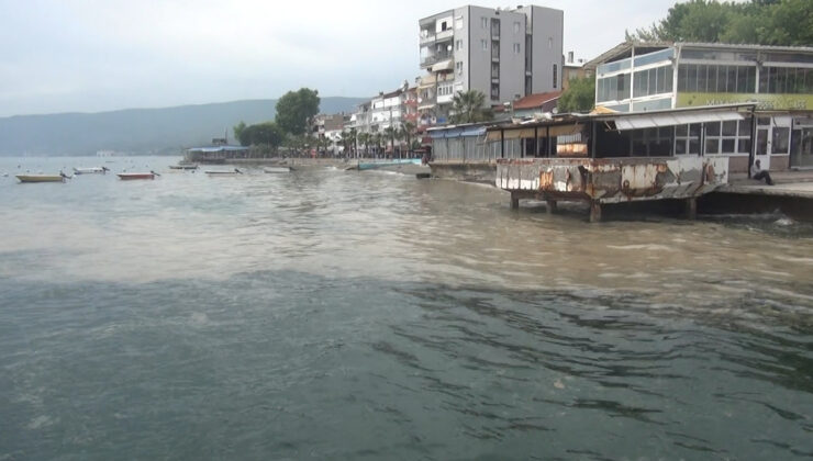 Marmara’nın turistik Gemlik körfezi müsilajla kaplandı