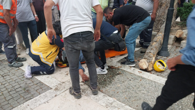 Mersin’de belediye işçisi budama sırasında 5 metreden düştü