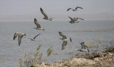 Milleyha Kuş Cenneti “Doğal Sit Alanı” Oluyor