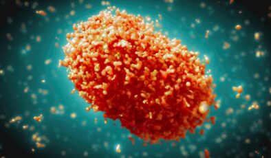 Pakistan’da maymun çiçeği vakalarında artış yaşandı: 12 günlük kapanma ilan edildi