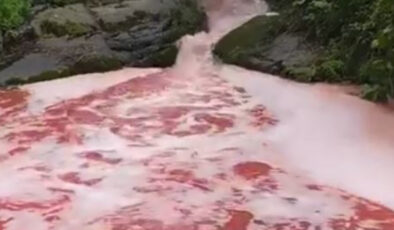 Rize’de rengi kırmızıya dönen derede inceleme başlatıldı