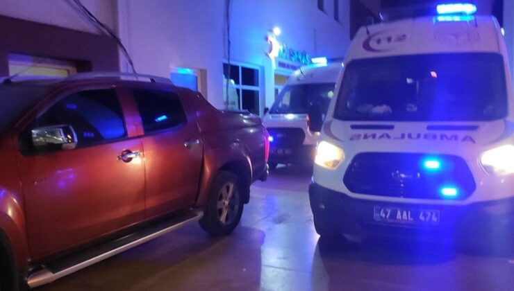 Mardin’de Av Tüfeği Kazası