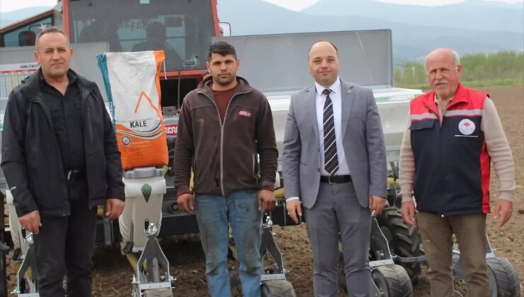 Yerli Mısır Tohumu Ekimi Başladı
