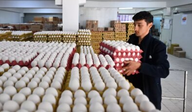 Yumurta fiyatlarında büyük değişiklik